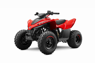 CFMOTO Gladiator X110 LE